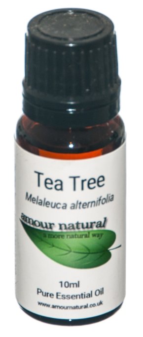 Amour Natural Tea Tree Essential Oil - 10ml - Penny Brohn Shop