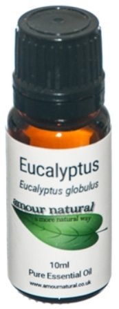 Amour Natural Eucalyptus Essential Oil - 10ml - Penny Brohn Shop