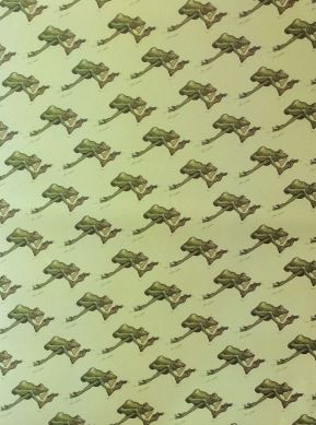 Minter Kemp 'Leap Frog' (10 Sheets of Wrapping Paper & Tags) - Penny Brohn Shop