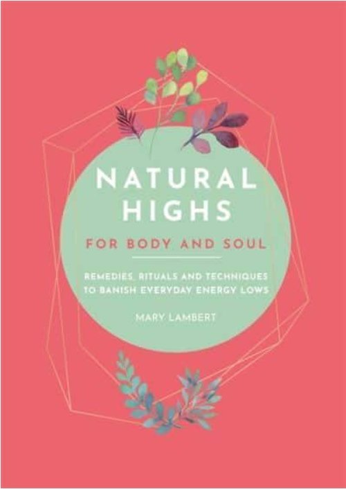 Natural Highs by Mary Lambert - Penny Brohn Shop