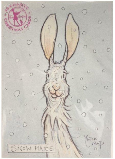 'Snow Hare' Minter Kemp 2021 Christmas Cards (10 packs) - Penny Brohn Shop